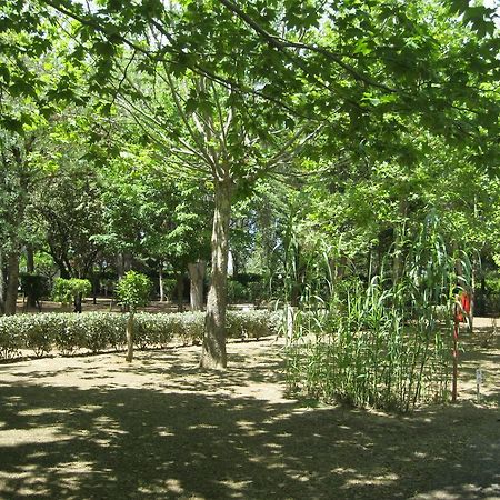 Camping Le Rebau Montblanc Dış mekan fotoğraf